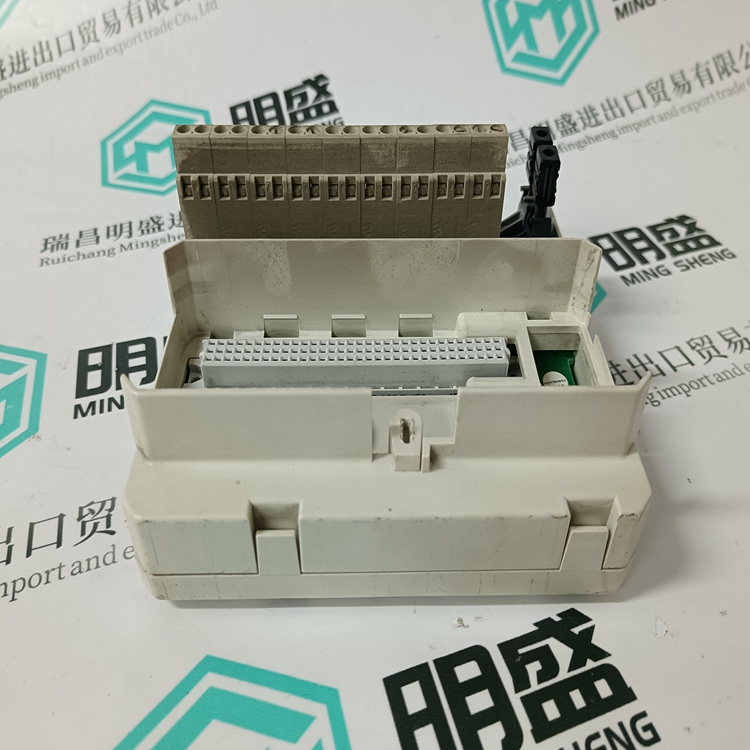 3BSE013175R1(圖4)