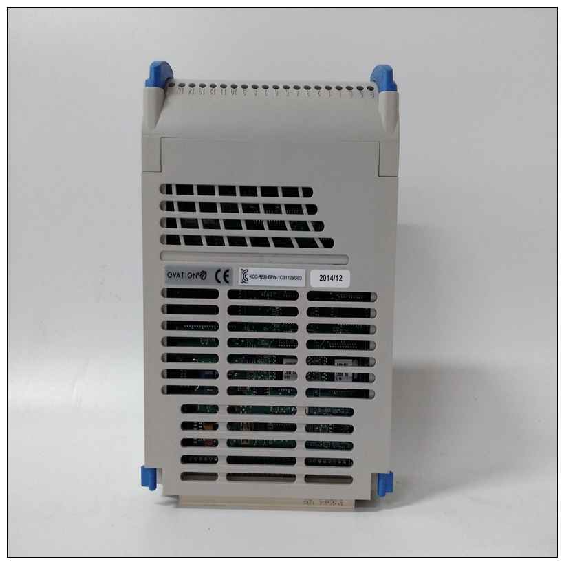 1C31129G03.jpg